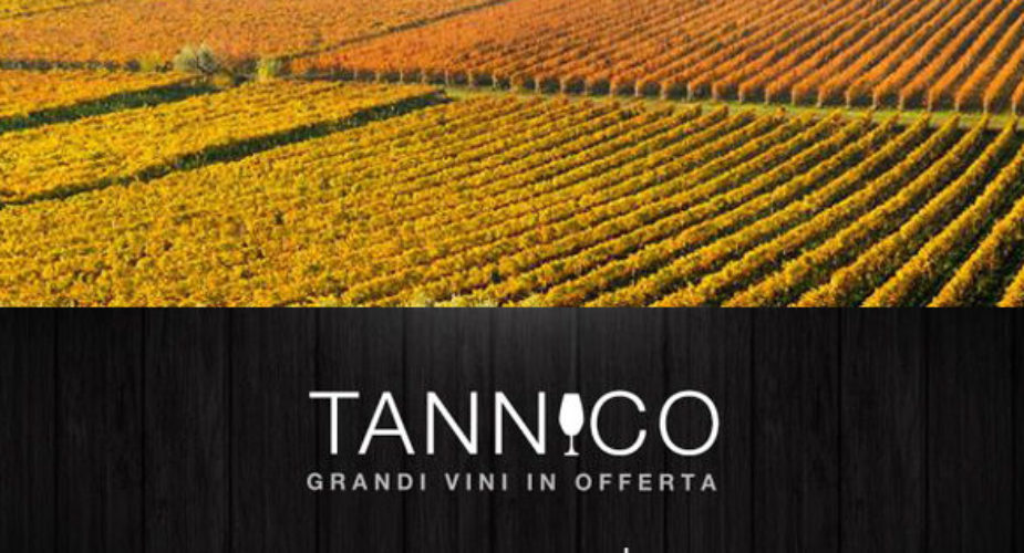 Tannico, il sito di riferimento per i tuoi vini